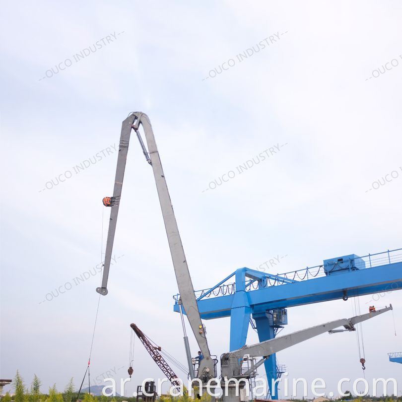 1T30M Knuckle boom crane